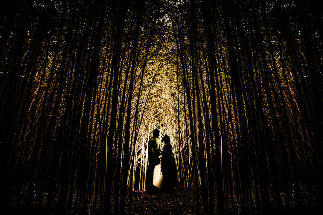 Foto ELOPEMENT WEDDING DE JUDI E BRENDO | BANANAL -SP Foto ELOPEMENT WEDDING DE JUDI E BRENDO | BANANAL -SP - Imagem 66