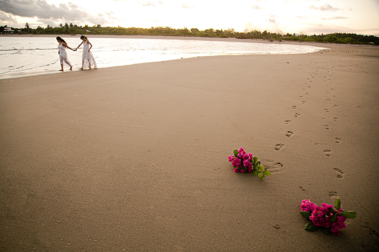Foto CASAMENTO DE KARLA E ELISA | MACEIÓ - AL Foto CASAMENTO DE KARLA E ELISA | MACEIÓ - AL - Imagem 85