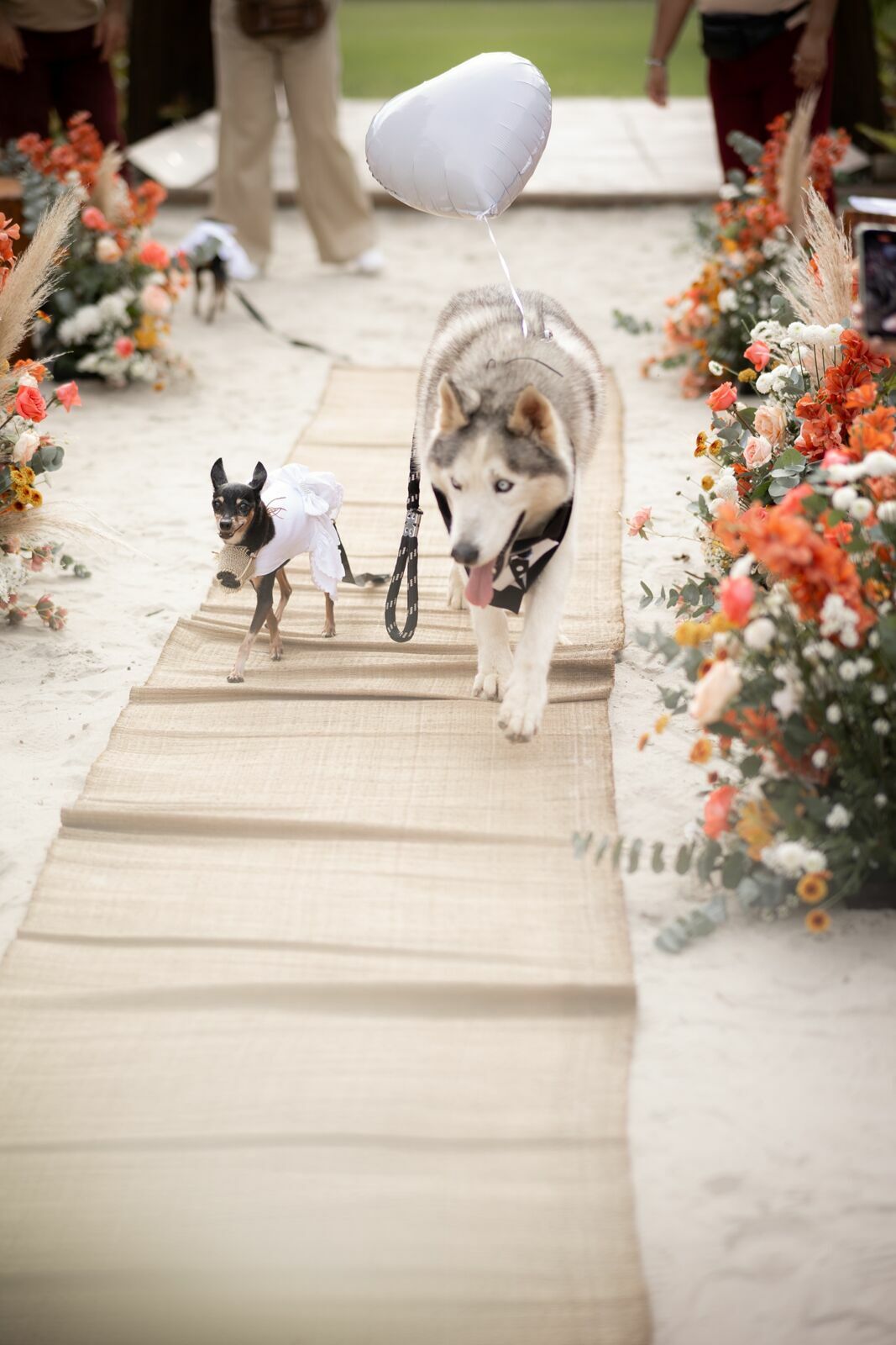 Foto CASAMENTO DE KÉSSIA E FELIPE | PARATY - RIO DE JANEIRO Foto CASAMENTO DE KÉSSIA E FELIPE | PARATY - RIO DE JANEIRO - Imagem 28