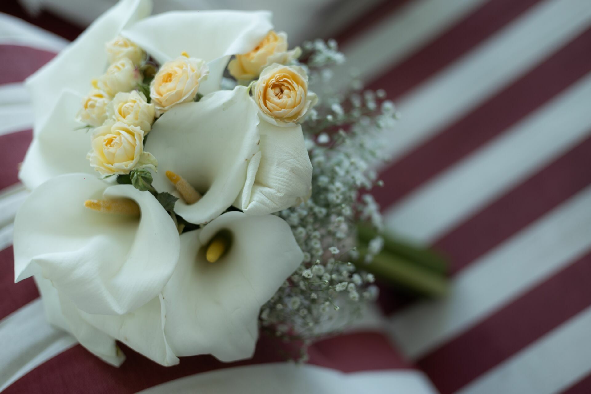 Foto CASAMENTO DE RAYANA E SILVESTRE | ANGRA DOS REIS-RJ - Imagem 8