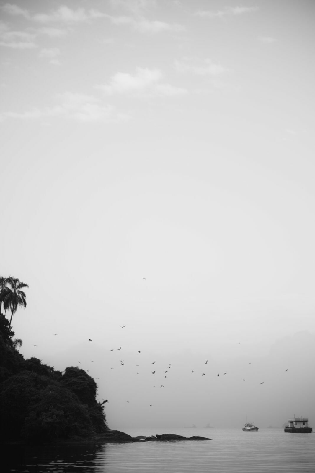 Foto PRÉ WEDDING DE ANA E VICTOR | ANGRA DOS REIS-RJ - Imagem 3