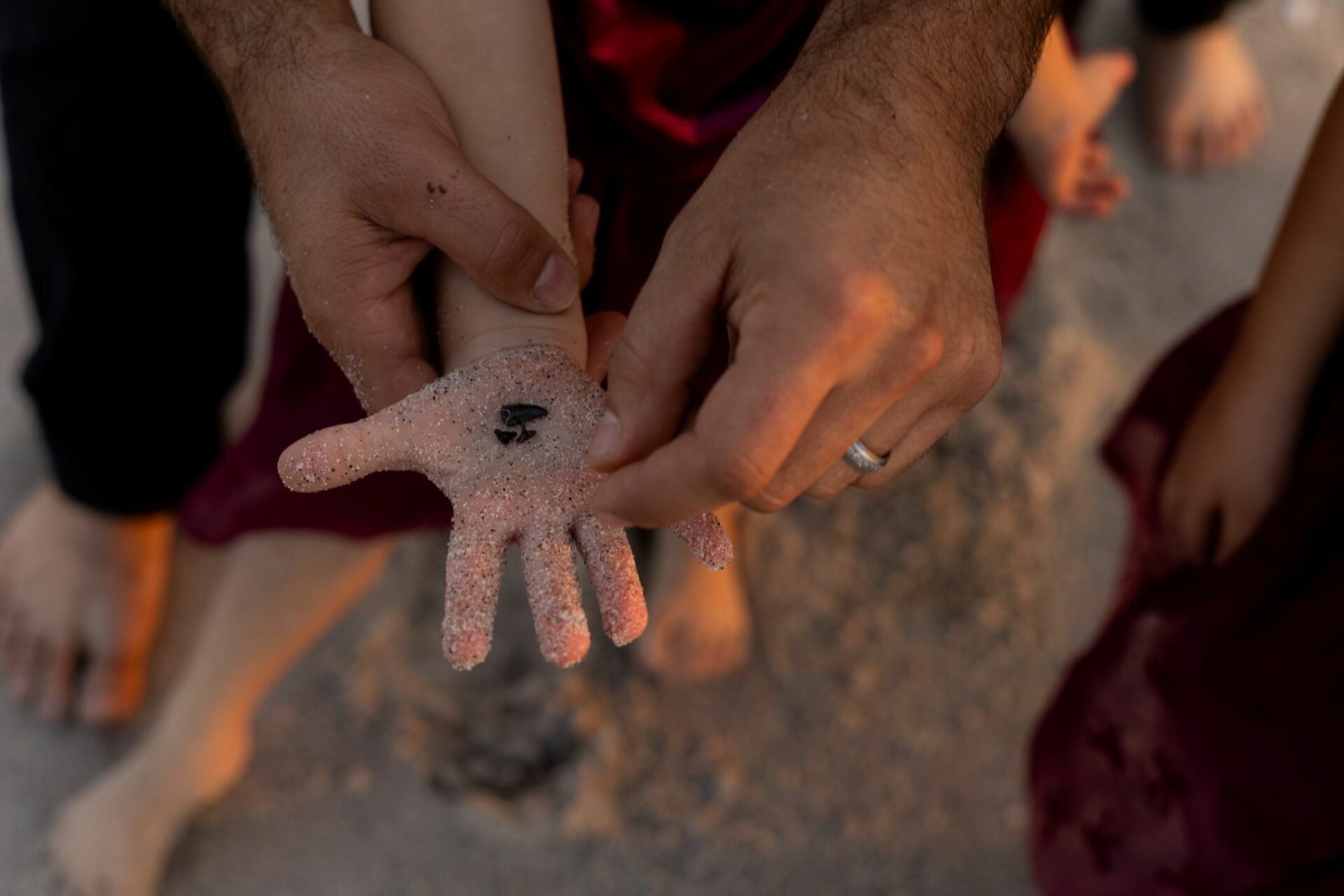 Foto ENSAIO DE FAMÍLIA DE ALEX E OLIVIA | FLÓRIDA - ESTADOS UNIDOS - Imagem 9