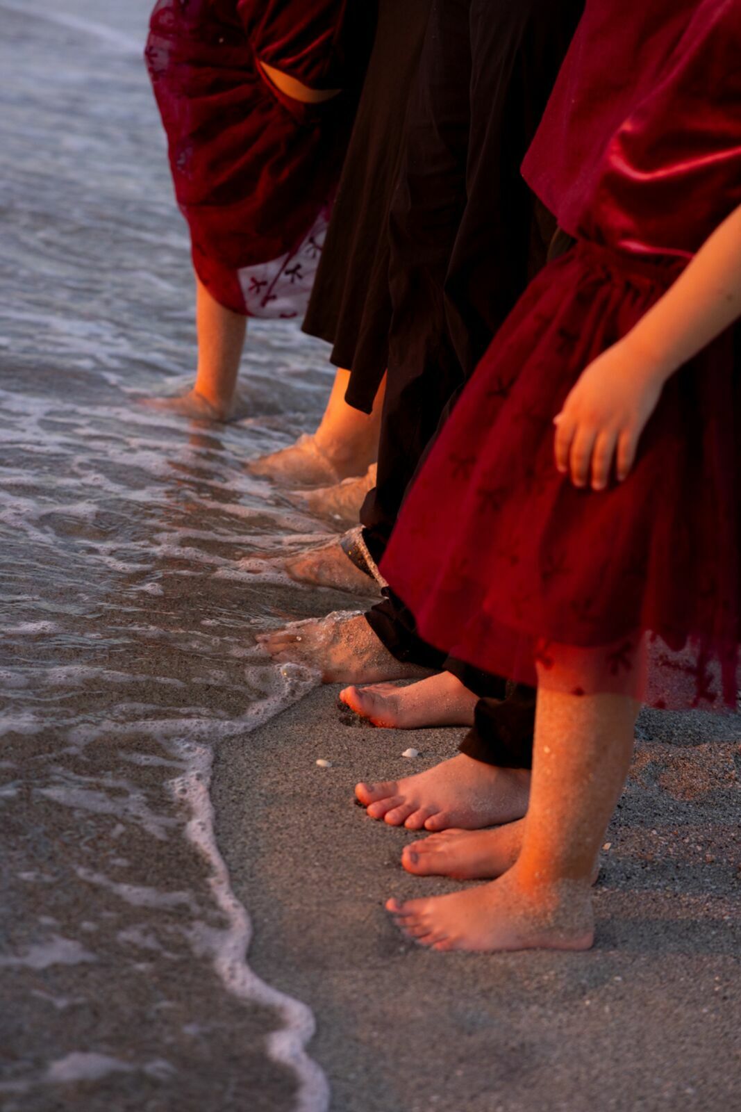 Foto ENSAIO DE FAMÍLIA DE ALEX E OLIVIA | FLÓRIDA - ESTADOS UNIDOS - Imagem 17