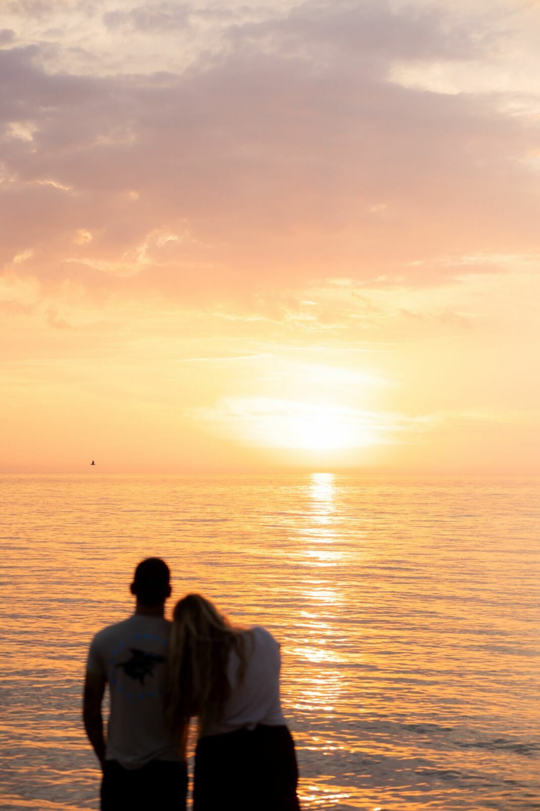 Foto ENSAIO DE FAMÍLIA DE ALEX E OLIVIA | FLÓRIDA - ESTADOS UNIDOS - Imagem 18