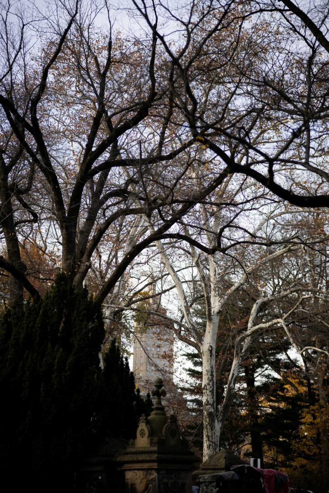 Foto CARLOS AUGUSTO E ISA | PRÉ WEDDING | NEW YORK - Imagem 19