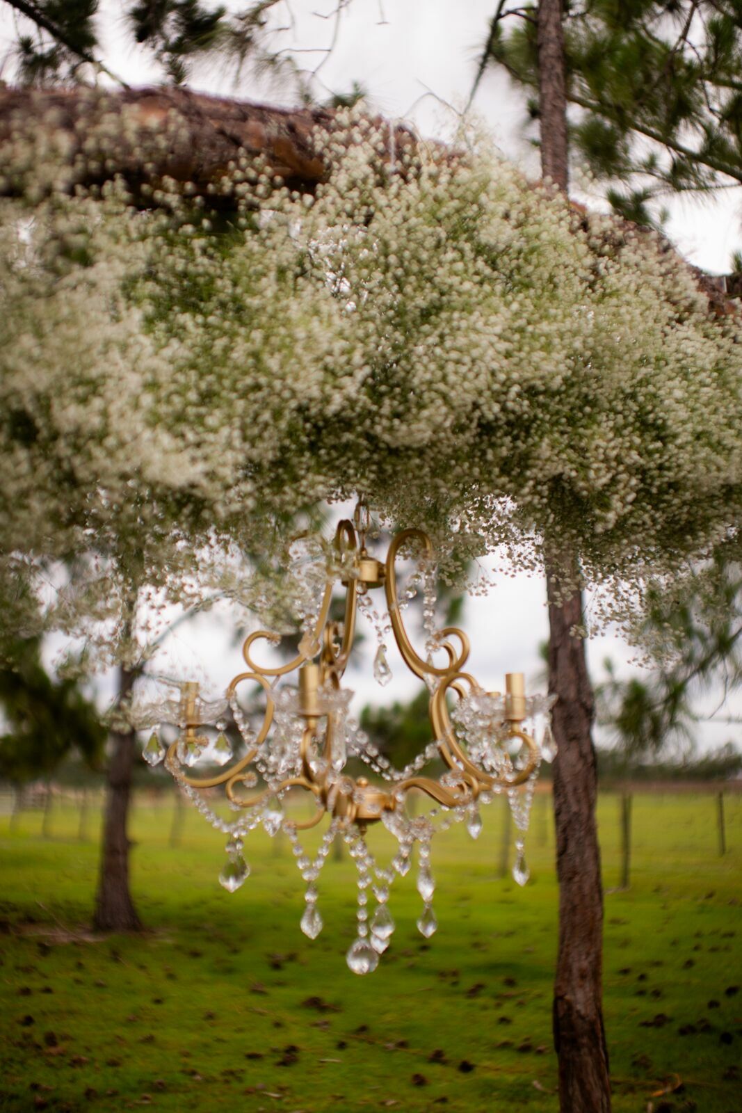Foto CASAMENTO DE BIANCA E BRUNNO | FLÓRIDA | USA - Imagem 2
