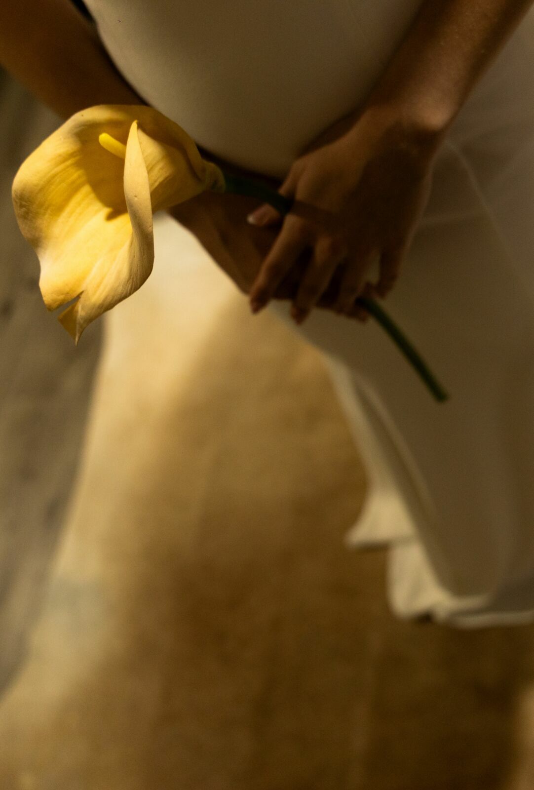 Foto CASAMENTO DE BIANCA E BRUNNO | FLÓRIDA | USA - Imagem 20