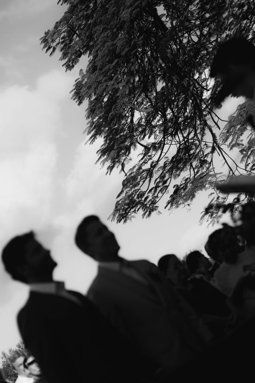 Foto CASAMENTO DE LUIZ E ARTHUR | PARATY | RIO DE JANEIRO - Imagem 54